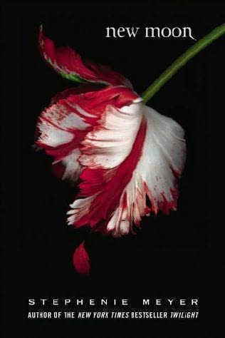 new-moon new-moon