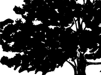 "What Nature is to the mind she is also to the body. As she feeds my imagination, she will feed my body..."  page 166