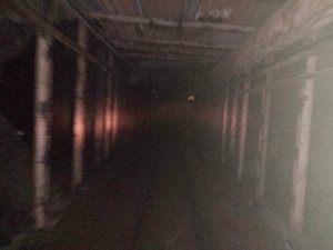 992912_10151739698461153_546031770_n