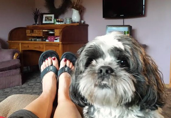 Sheila DeChantal, Book Journey