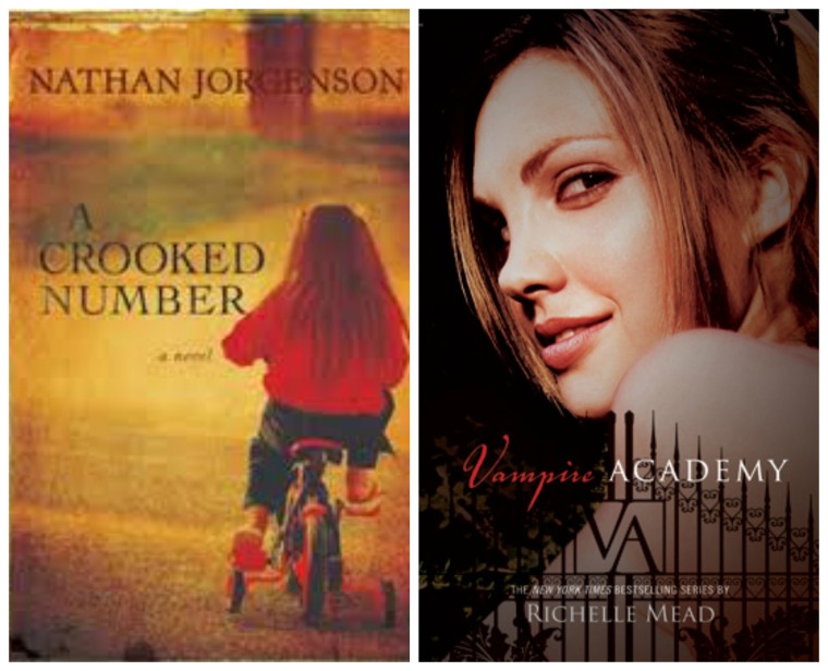 Faces on covers Sheila Book Journey A Crooked Number Nathan Jorgenson Vampire Academy Richelle Mead