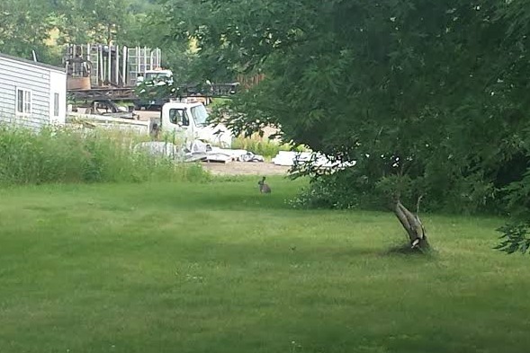 Book Journey, Sheila DeChantal