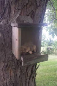 Book Journey, Sheila DeChantal