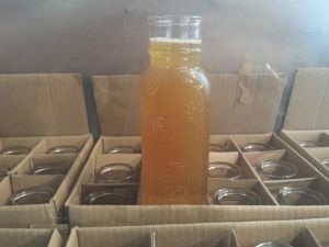 Bucks Busy Bee's, Book JOurney