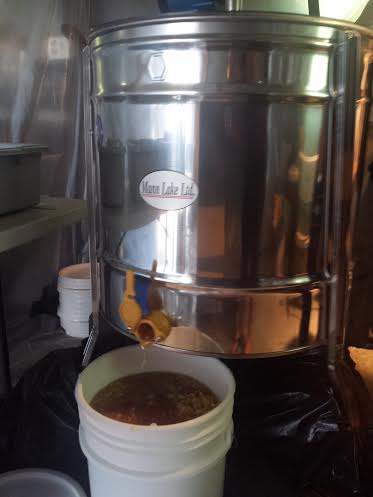 Bucks Busy Bees, Sheila DeChantal, Amanda Buck, Book Journey