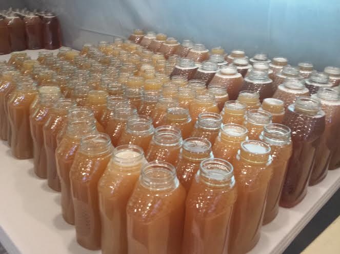 Sheila DeChantal, Book Journey, Bucks Busy Bees, Amanda Buck