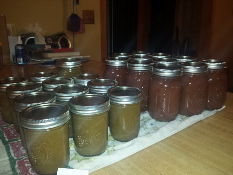 The Butters... left: pumpkin butter, right:  Apple Butter