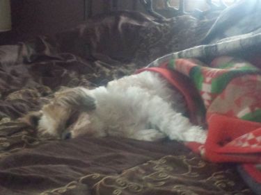 http%3A%2F%2Fir.4sqi.net%2Fimg%2Fgeneral%2F1000x540%2F1965220_RhqS43eY60cchM4qoWphH9Kr0Po7fCpsEoE22ILIkKE