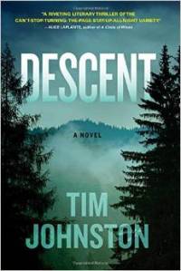 Descent, Tim Johnston, Book JOurney
