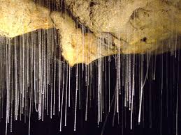 Glow worm caves, book journey, new zealand