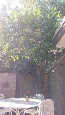 book journey, Arizona