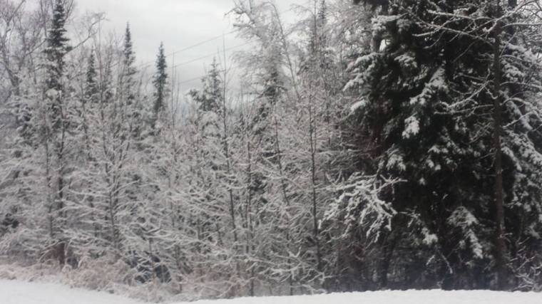 book journey, north shore