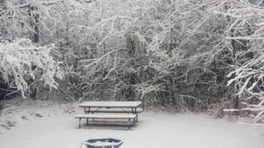 book journey, north shore